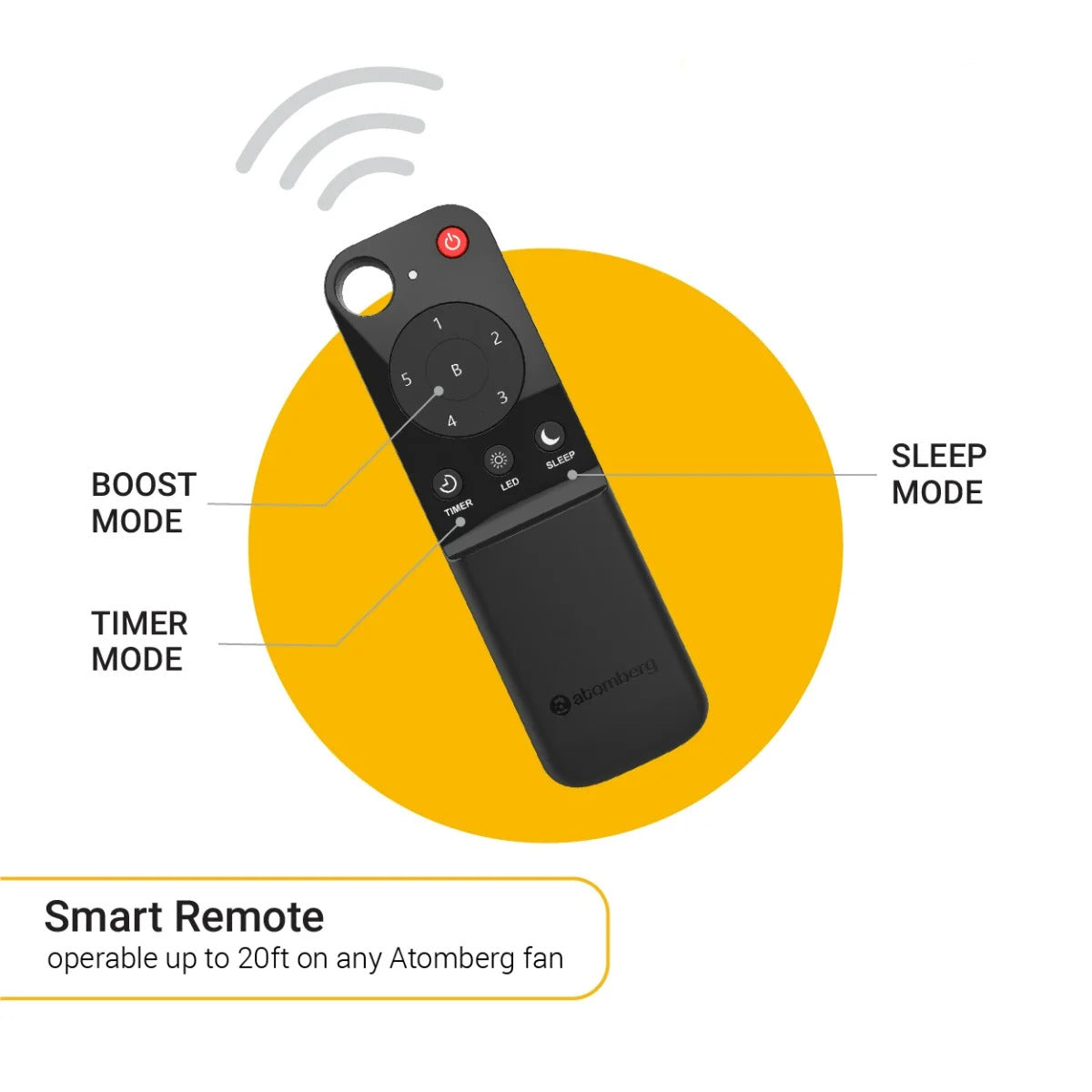 Ibotz Studio + Ceiling Fan